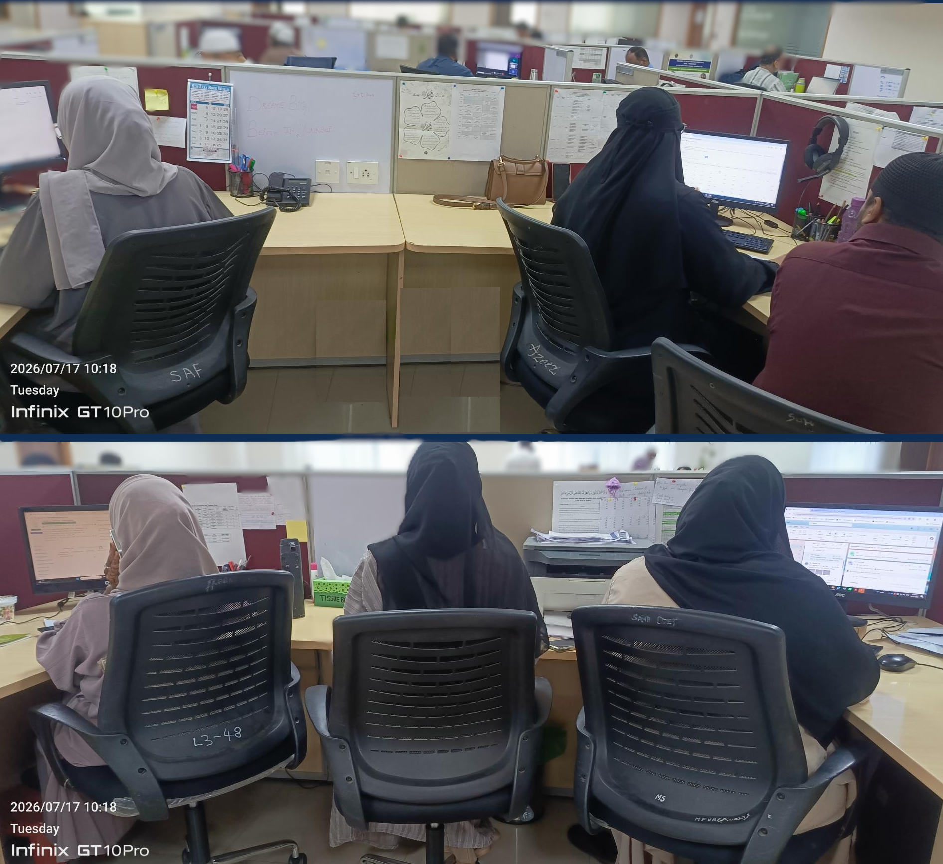 TED TEAM
